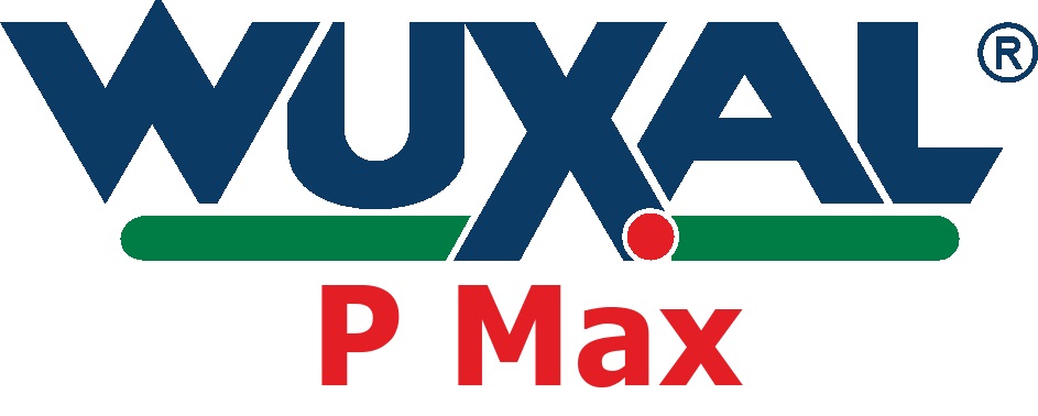 Вуксал P Max
